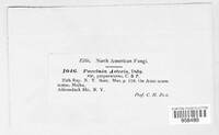Image Associated With the Occurence